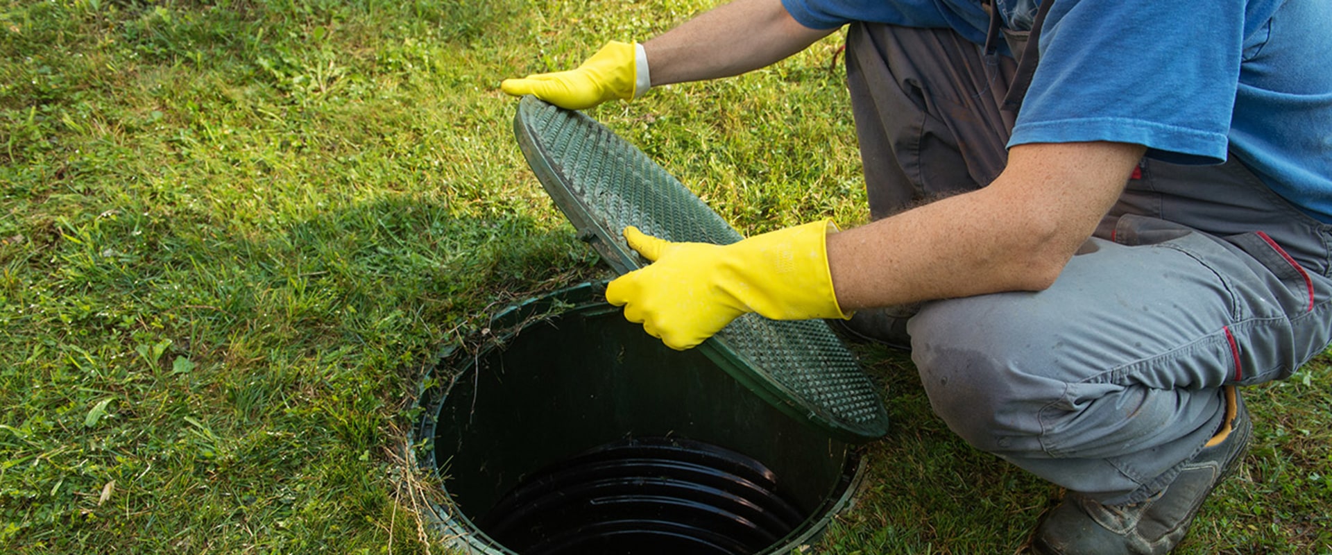 Do septic tank treatments actually work?