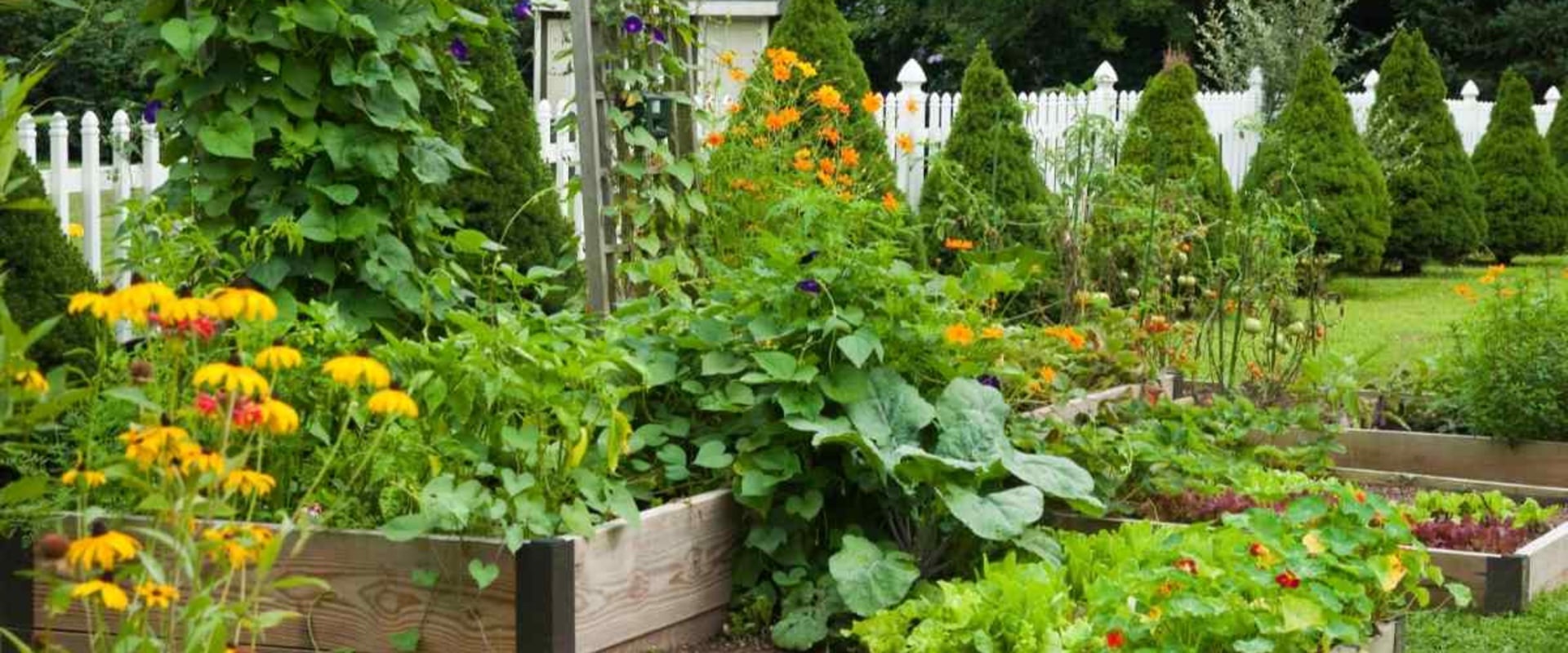 Maintaining a Vegetable Garden: Tips and Tricks to Keep Your Garden Flourishing