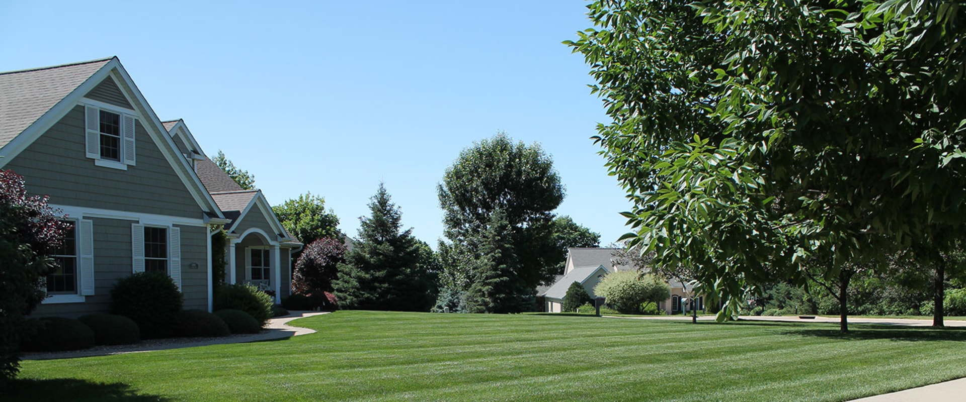 Mowing and Edging Techniques: Creating the Perfect Lawn