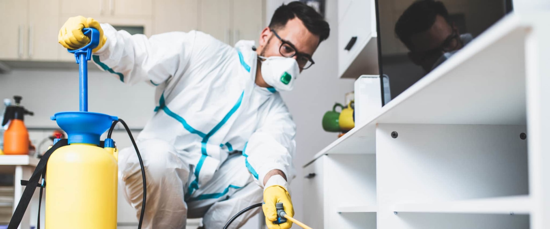 Choosing a Reputable Pest Control Company: A Comprehensive Guide