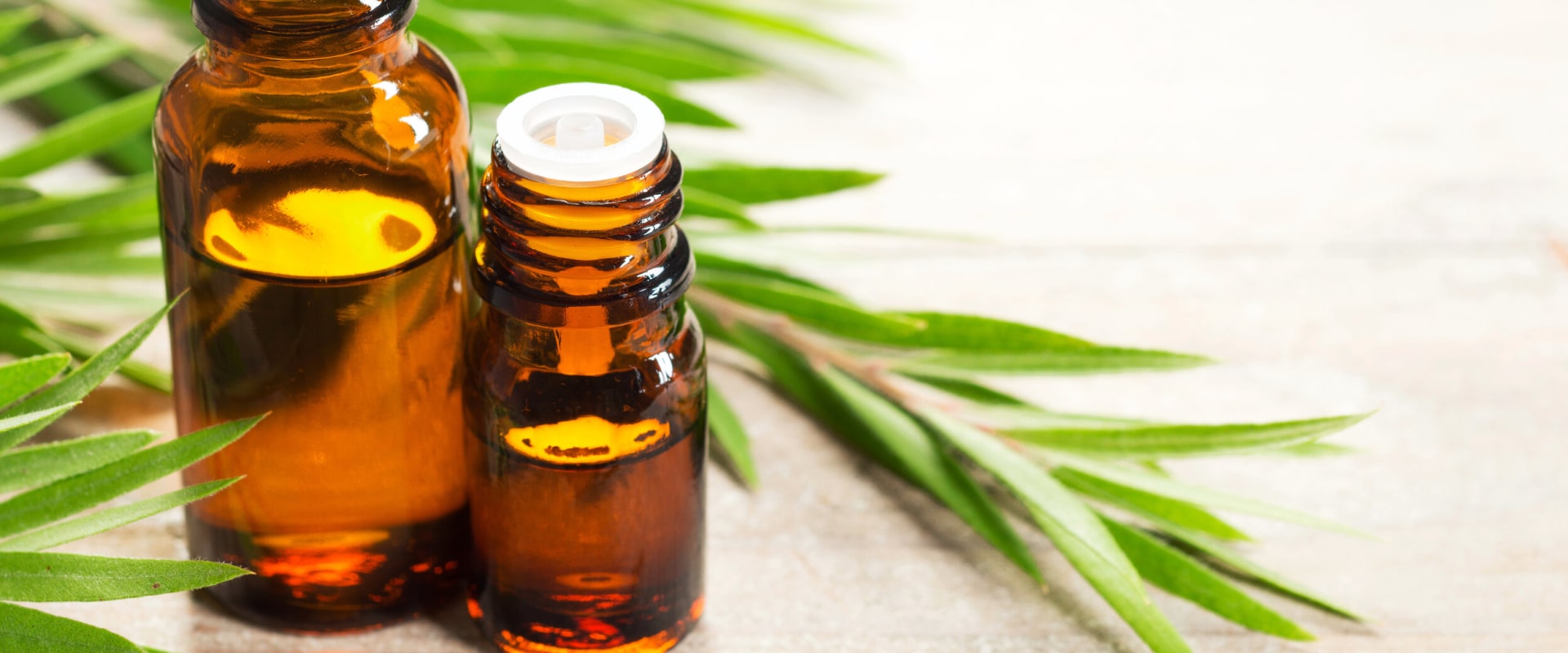 How Essential Oils Can Help Keep Pests Away from Your Home