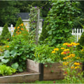 Maintaining a Vegetable Garden: Tips and Tricks to Keep Your Garden Flourishing