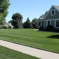 Mowing and Edging Techniques: Creating the Perfect Lawn