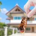 Different Types of Pest Control Treatments for a Pest-Free Home