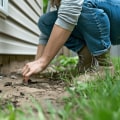 Sealing Entry Points for Pests: How to Keep Your Home Safe and Pest-Free