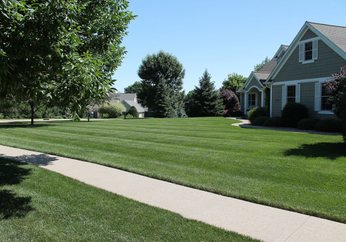 Mowing and Edging Techniques: Creating the Perfect Lawn