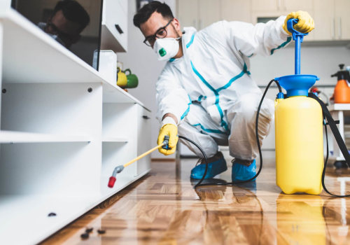 Choosing a Reputable Pest Control Company: A Comprehensive Guide