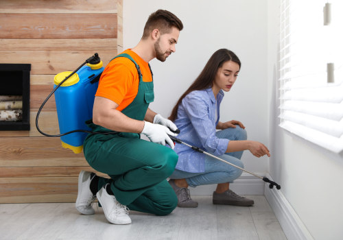 Long-Term Pest Control Solutions: Protecting Your Home and Family