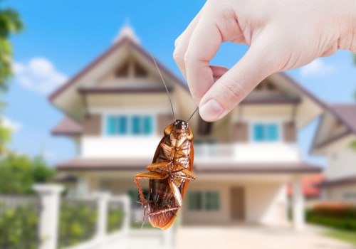 Different Types of Pest Control Treatments for a Pest-Free Home