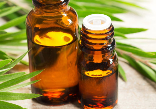 How Essential Oils Can Help Keep Pests Away from Your Home